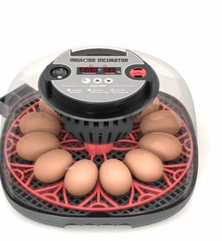 12-24 Egg Incubator With Humidity Display, Egg Candler, Automatic Egg Turner, For Hatching Chickens Duck Quail Parrot
