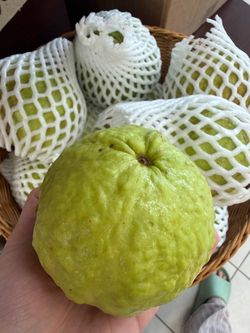 Thai Guavas