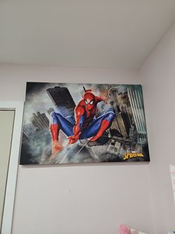 Spiderman frame