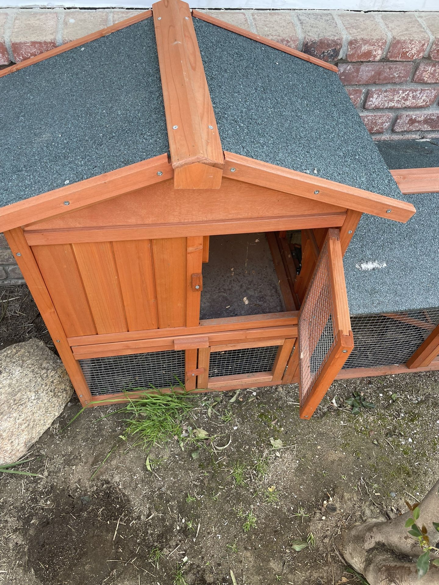 Chicken/ Rabbit Coup Or Easter Chicks