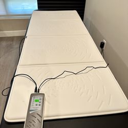 **Omni PEMF Full Body Mat - Gently Used**