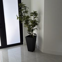 Artificial fiddle-leaf fig–style plant