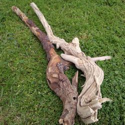 Natural Driftwood For Aquariums Terrariums Decor 
