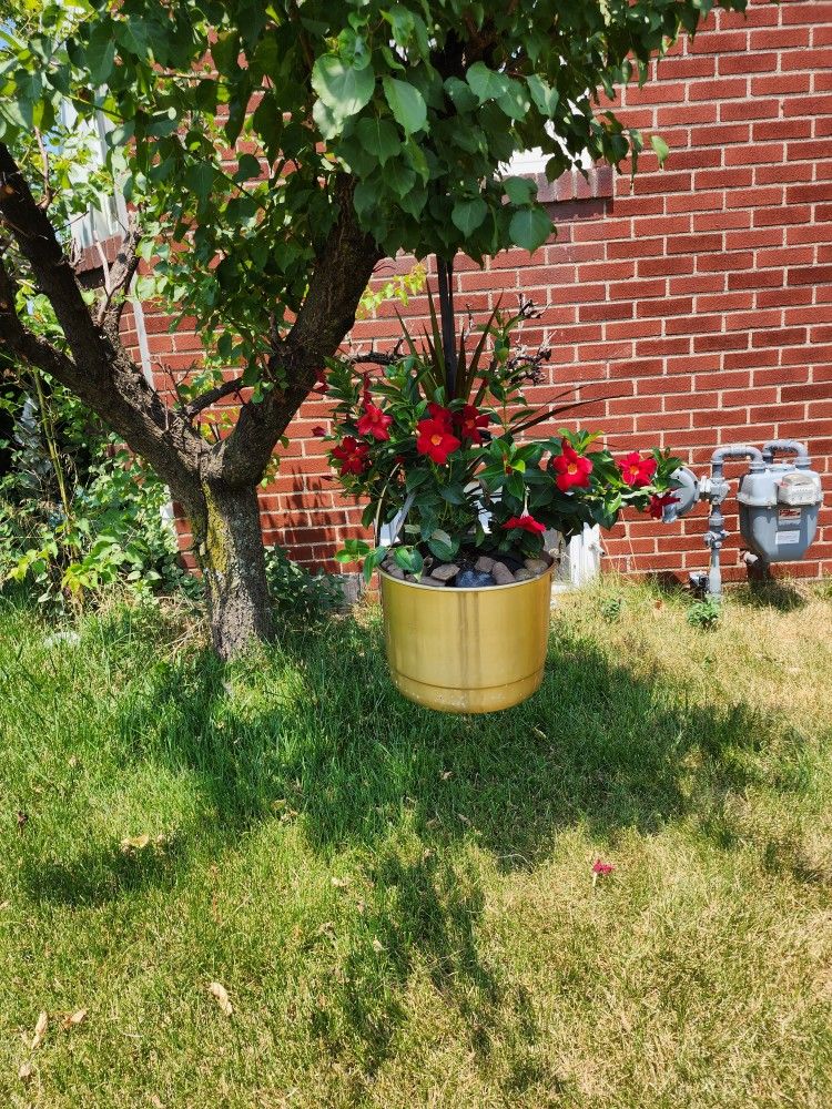 Flower Vase Arangments & Yard Items ...all Pixs For Only $65