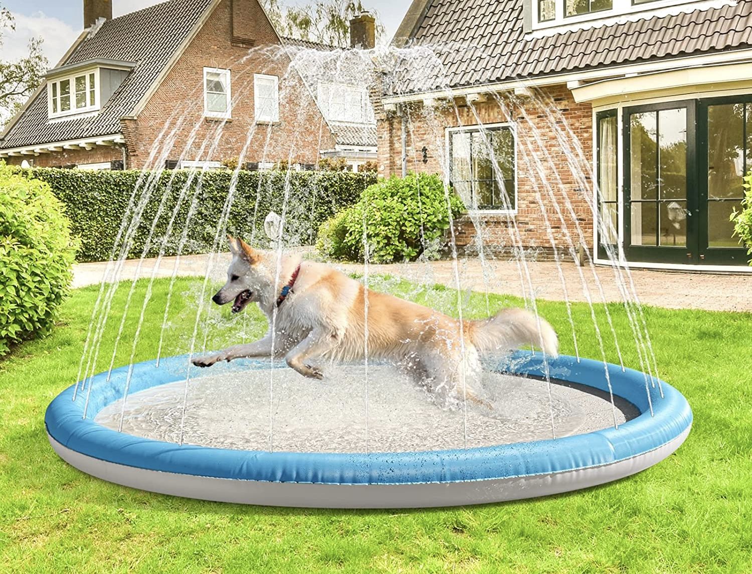 NEW Dog Splash Pad, Kids Splash Sprinkler Pad    Pool - Size Large 59” !