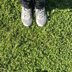 Nice Shoes