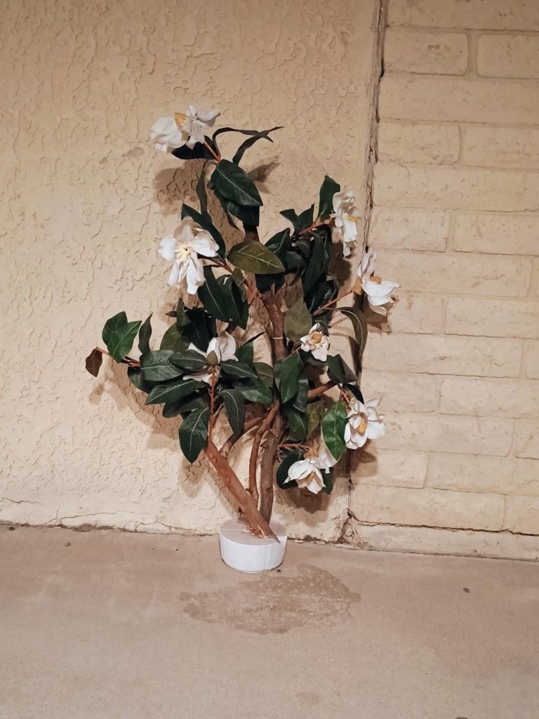 Fake Plant decor