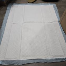 Totaldry Underpads 2 Boxes (200 Pads Total)
