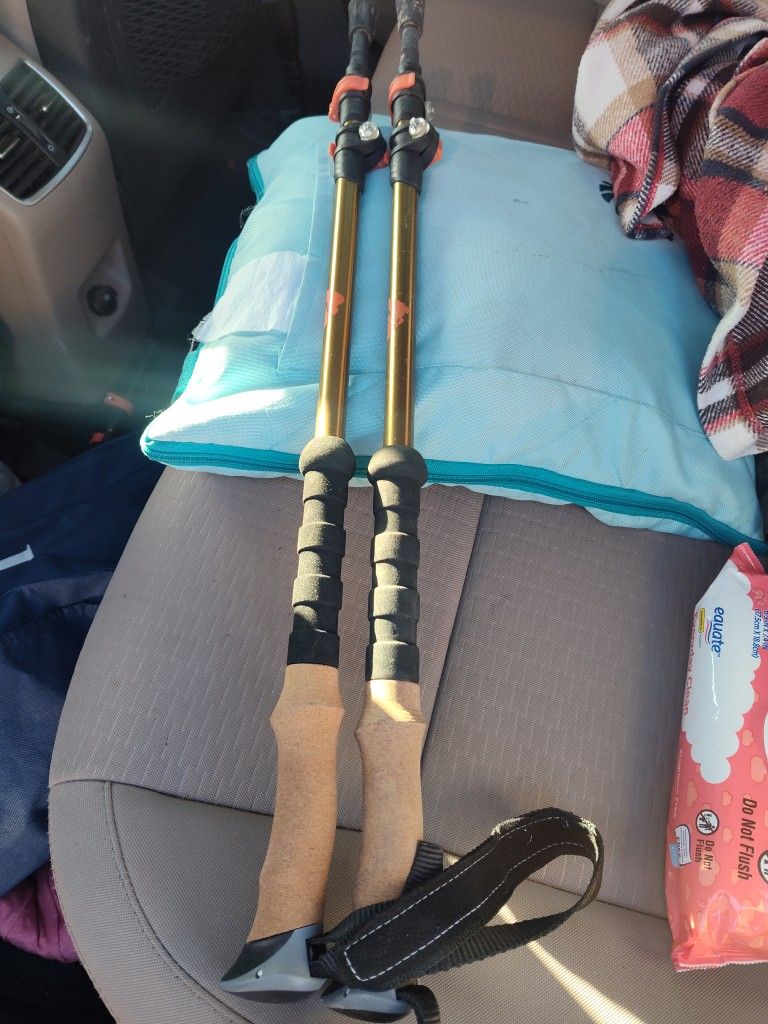 Ozark Trail Walking Sticks