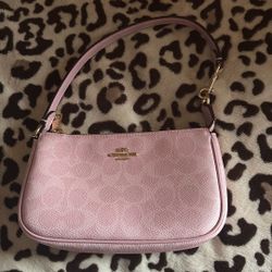 nolita 19 pink limited edition 