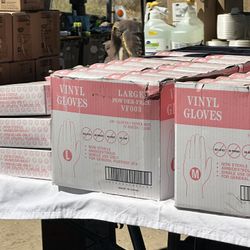 Powder Free Vinyl Gloves 