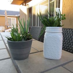 Set Of White Polka Dot & Gray Garden Pots With Succulents 