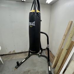 Everlast power core punching bag ONLY