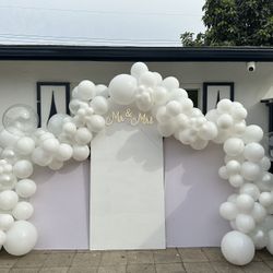 Party Set Up 