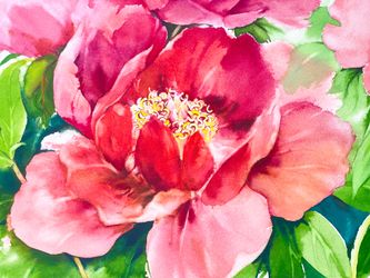 #Original Watercolor Painting On The Arches 300gsm/ ‘A Feast of Red Peonies’/ Signed By Artist 