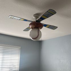 Baseball fan