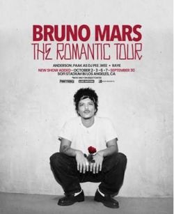 Bruno Mars Floor Seat 10/6