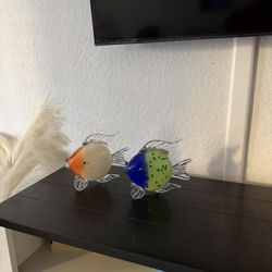 Glass Fish