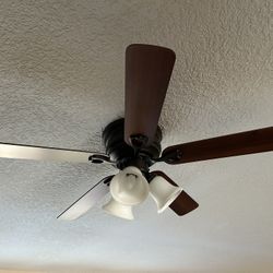 Ceiling Fan