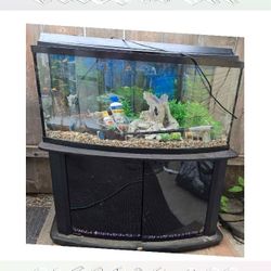 Fully-Loaded Aquarium Set - Dive into Underwater Beauty rise wind