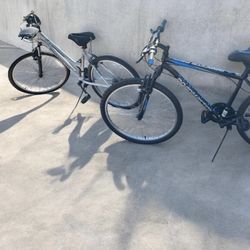 His And Hers Roadmaster Bikes