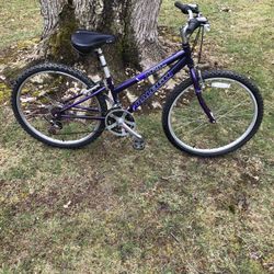26” Raleigh Mountain Bike 