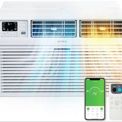 Smart 10000 BTU Through the Wall Air Conditioner with Heat Voltage 230 Volts（Jh2566E）