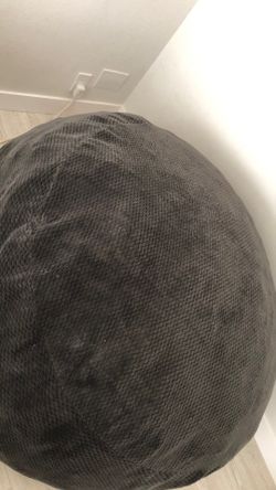 Bean bag from costco
