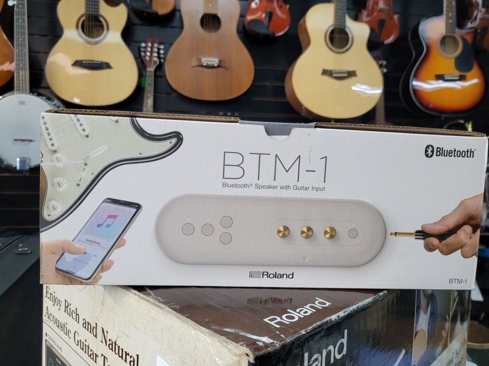 Roland BTM 1 Bluetooth Speaker