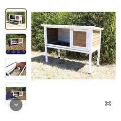 Bunny Cage 