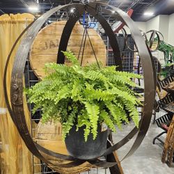 Whiskey Barrel Ring Orb Plant Hanger 