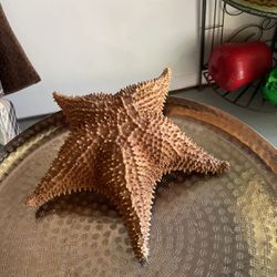Starfish Beach Decor-$20