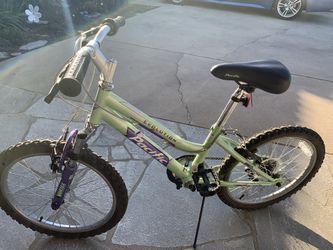 Evolution Pacific 20'’ bike