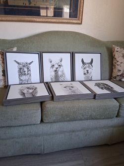 Animal canvas