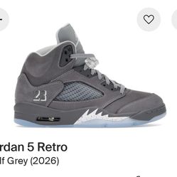 Jordan 5 Wolf Grey