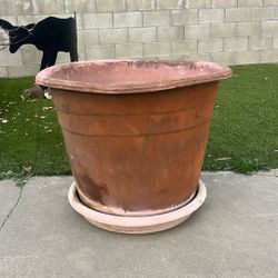 Large Flower Pot