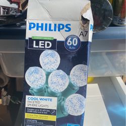 Led 60 Bulbs New 15 Dollars Timer Stake Multiple Plug Inns 25 Dollars 