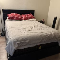 Black Bed Frame - Queen Size / OBO  