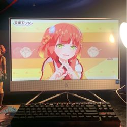 HP ALL IN ONE COMPUTER 