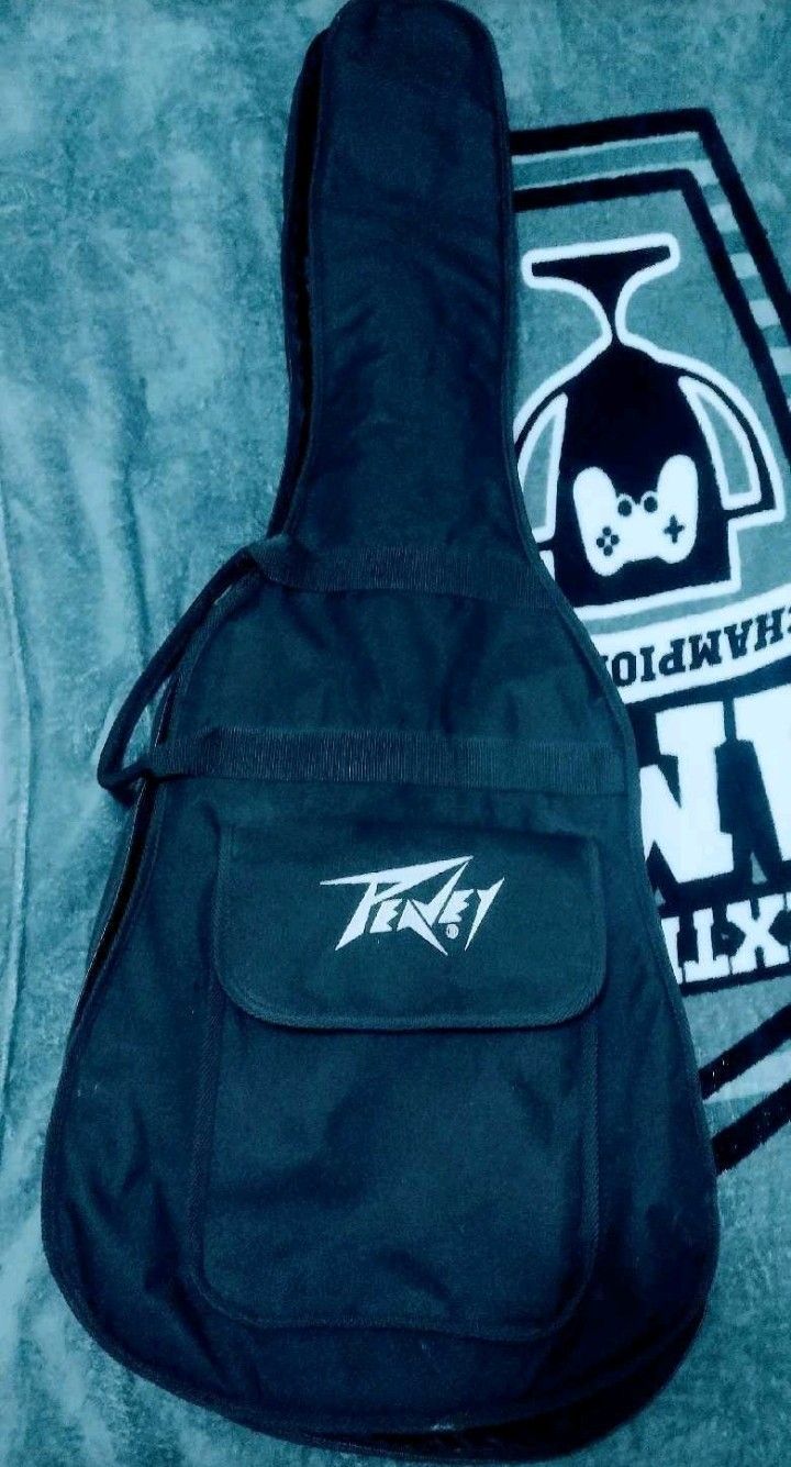Acoustic Guitar & Peavey Guitar Storage Case Bag.