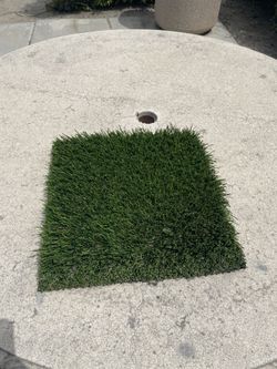 Grass Turf 