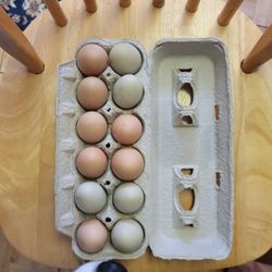 Chicken Eggs 