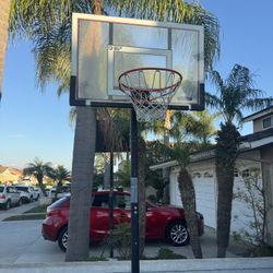 Lifetime Basketball Hoop