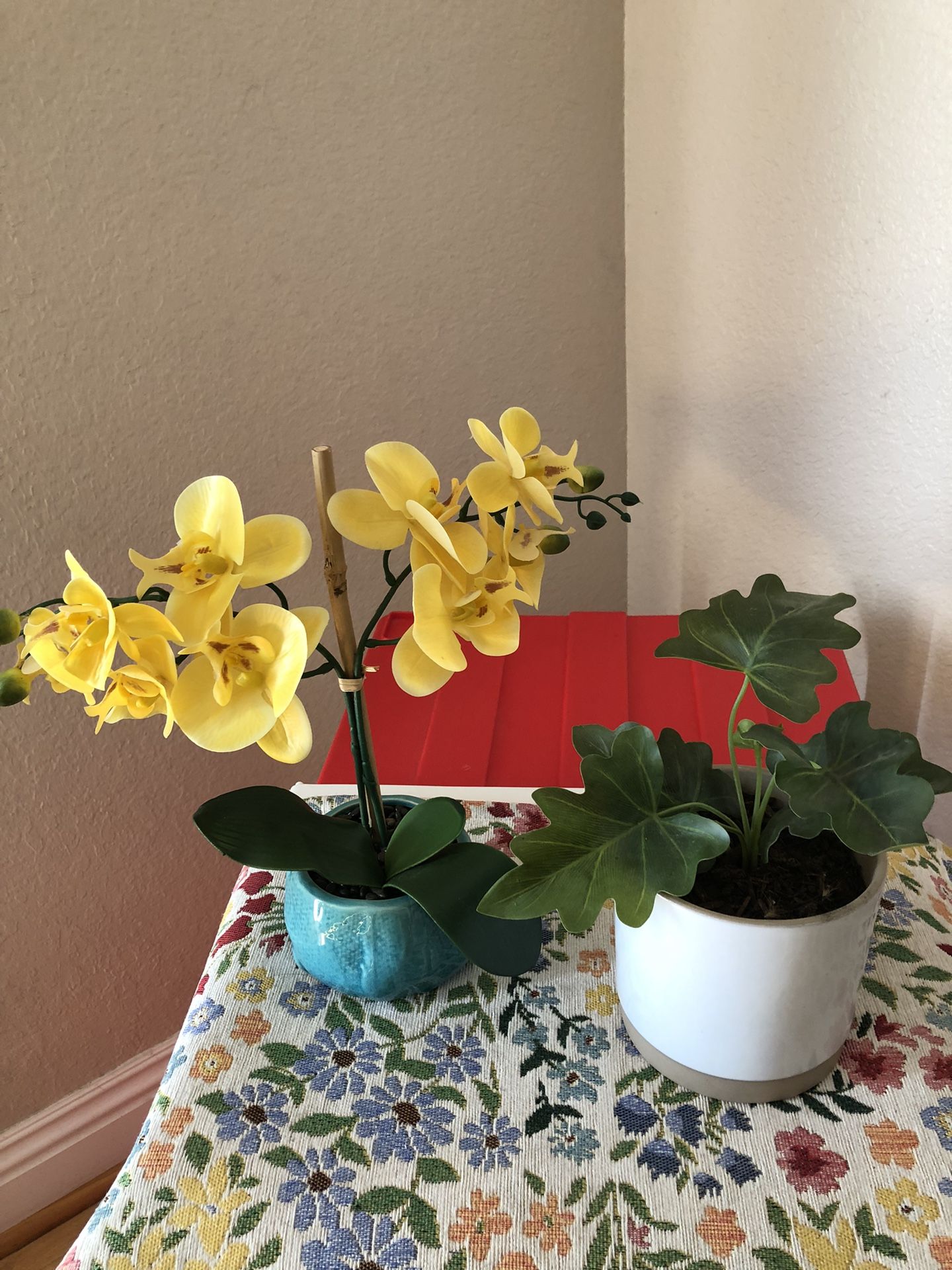 House Plant Fake Small 10.00 For Both Or 5.00 Each