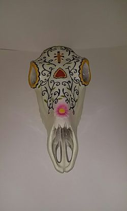 Decorative Skull💀