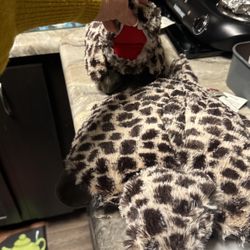 Pillow Pets Rexy T-Rex Dinosaur Peewees Plush Stuffed Animal Toy Brown Spots