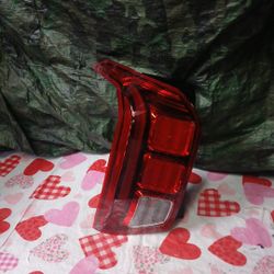 2021-22 Hyundai Palisade Left Tail Light 