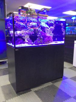 Aquarium 90 gallons RedSea