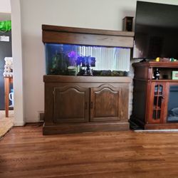 75 Gal Aquarium