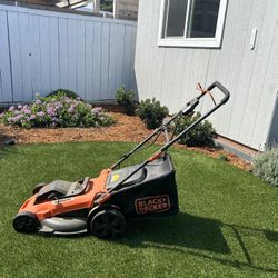 Electric Mower / Weed Wacker / Rake